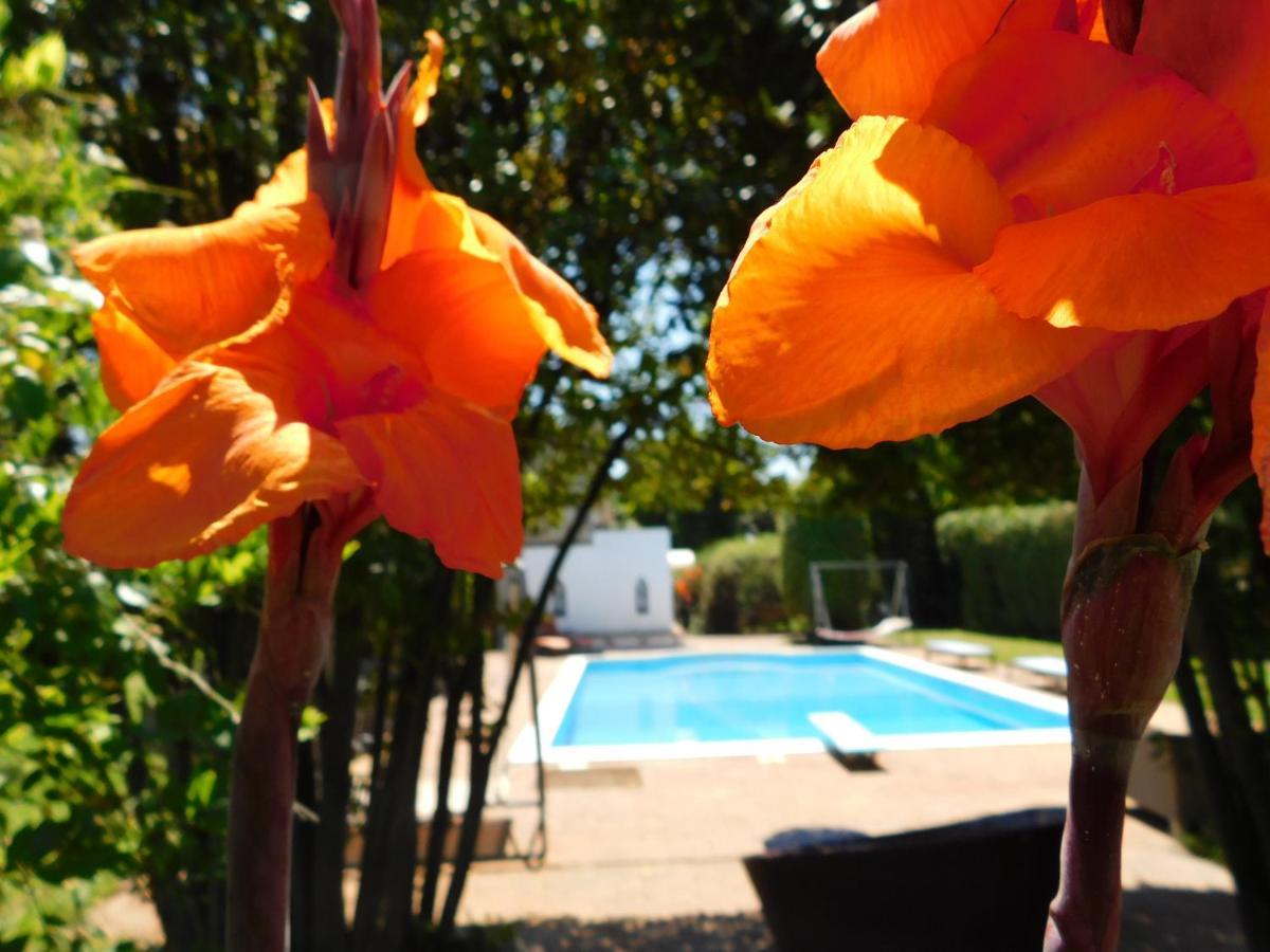 Appartamento Con Piscina Immersa Nel Verde Cascina Dış mekan fotoğraf