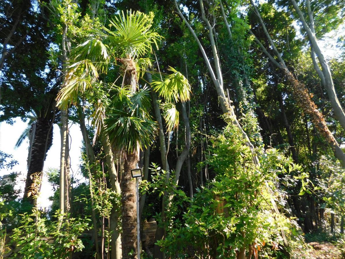 Appartamento Con Piscina Immersa Nel Verde Cascina Dış mekan fotoğraf