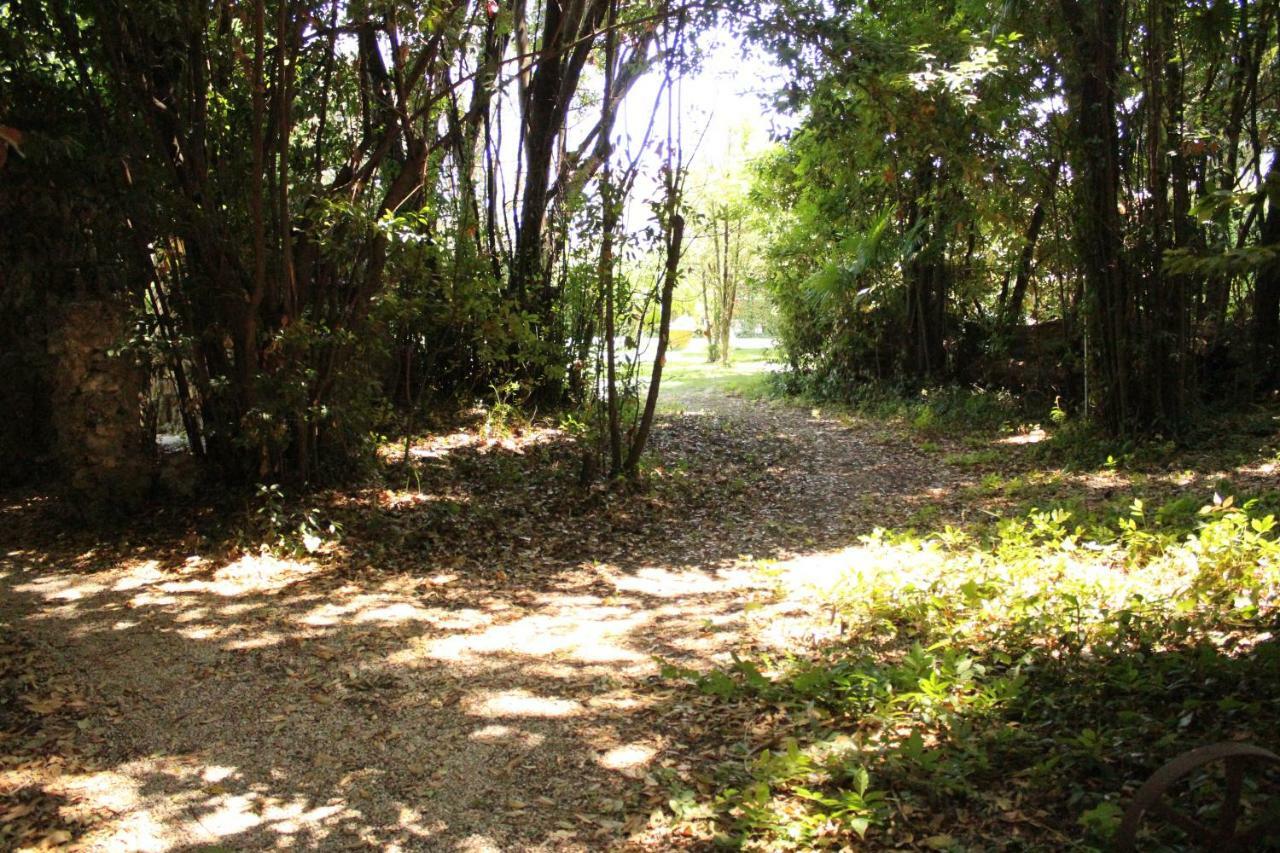 Appartamento Con Piscina Immersa Nel Verde Cascina Dış mekan fotoğraf